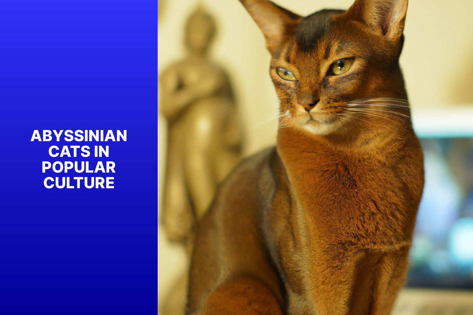 Abyssinian Cats in Popular Culture - where are abyssinian cats from 