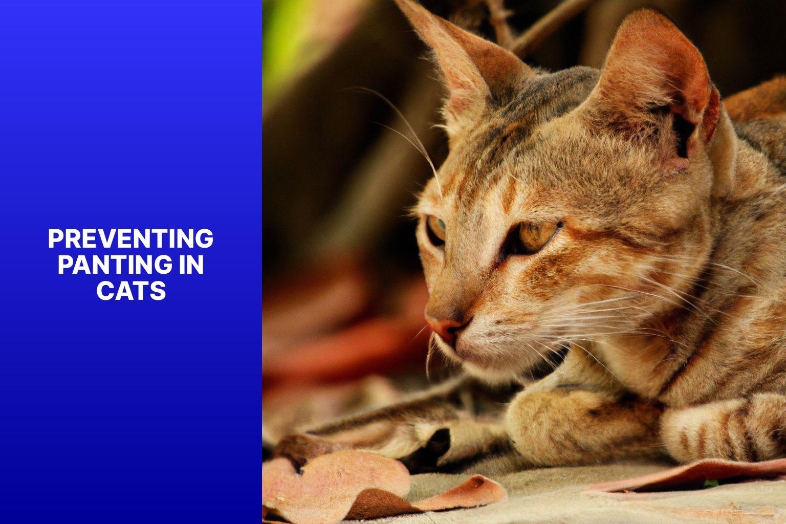 Preventing Panting in Cats - why is my cat panting 